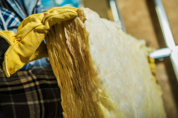 Best Insulation Contractors for Homes  in Volo, IL