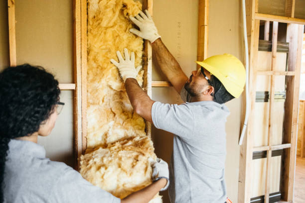 Best Cellulose Insulation  in Volo, IL