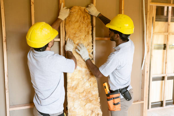 Best Insulation Replacement Services  in Volo, IL